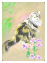 Gracie Gracie