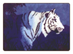 White Tiger in the Night - Latch-hook Rug