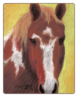 Wistful Mare - Print